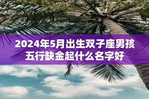 2025年5月出生双子座男孩五行缺金起什么名字好