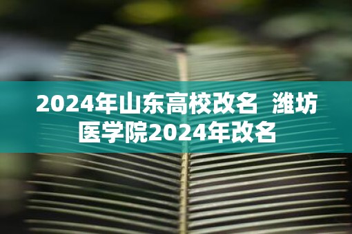 2025年山东高校改名  潍坊医学院2025年改名