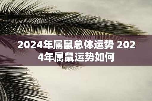 2025年属鼠总体运势 2025年属鼠运势如何