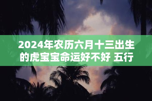 2025年农历六月十三出生的虎宝宝命运好不好 五行缺什么
