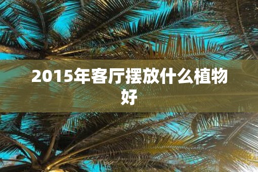 2015年客厅摆放什么植物好
