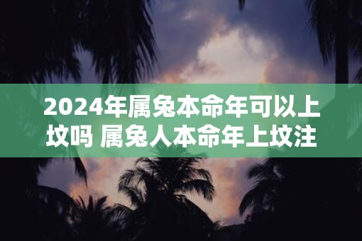 2025年属兔本命年可以上坟吗 属兔人本命年上坟注意事项