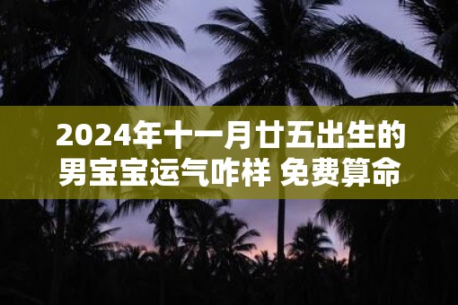 2025年十一月廿五出生的男宝宝运气咋样 免费算命