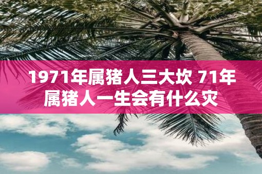 1971年属猪人三大坎 71年属猪人一生会有什么灾