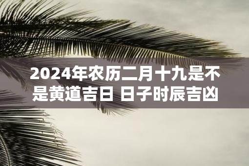 2025年农历二月十九是不是黄道吉日 日子时辰吉凶