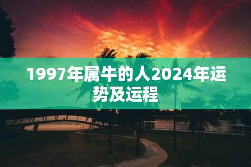 1997年属牛的人2025年运势及运程