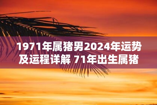1971年属猪男2025年运势及运程详解 71年出生属猪人2025全年每月运势男性