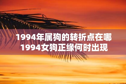 1994年属狗的转折点在哪 1994女狗正缘何时出现