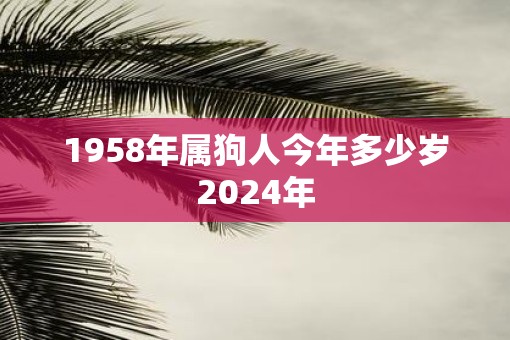 1958年属狗人今年多少岁2025年