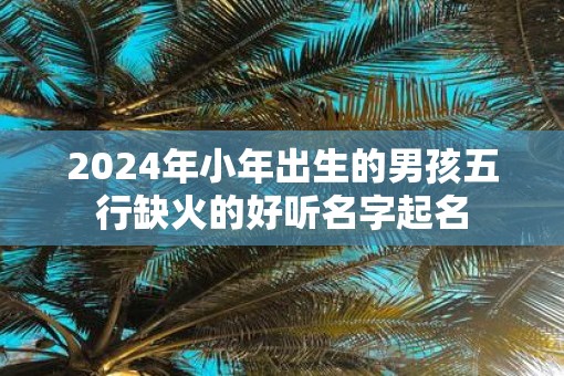 2025年小年出生的男孩五行缺火的好听名字起名