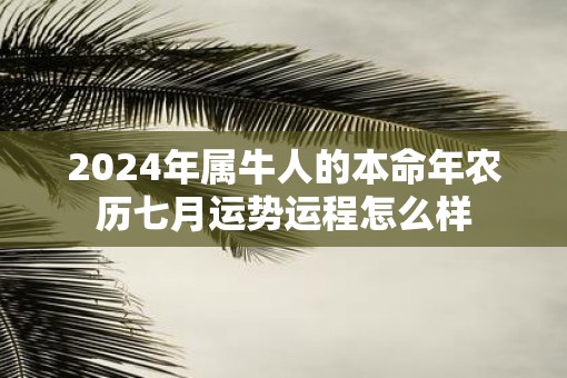 2025年属牛人的本命年农历七月运势运程怎么样