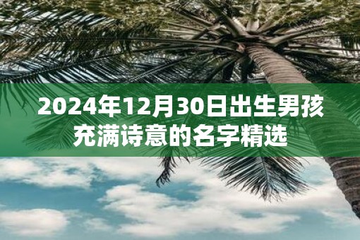 2025年12月30日出生男孩充满诗意的名字精选