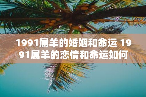 1991属羊的婚姻和命运 1991属羊的恋情和命运如何