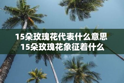 15朵玫瑰花代表什么意思 15朵玫瑰花象征着什么