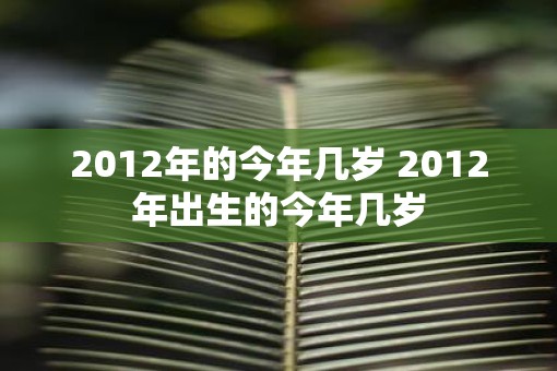 2012年的今年几岁 2012年出生的今年几岁