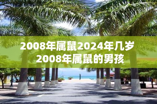 2008年属鼠2025年几岁  2008年属鼠的男孩