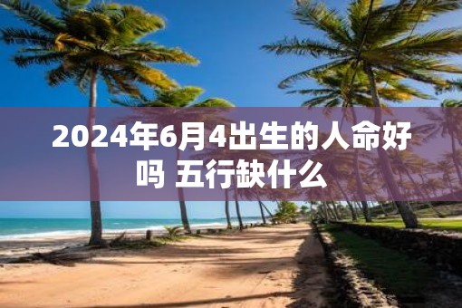 2025年6月4出生的人命好吗 五行缺什么