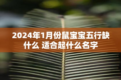 2025年1月份鼠宝宝五行缺什么 适合起什么名字