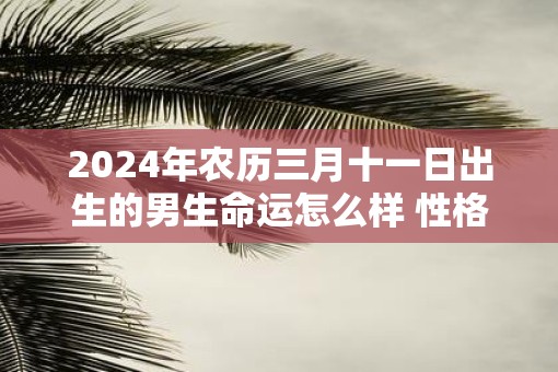 2025年农历三月十一日出生的男生命运怎么样 性格怎么样