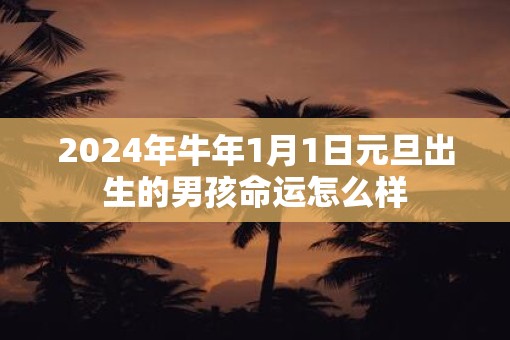 2025年牛年1月1日元旦出生的男孩命运怎么样