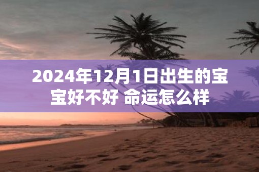 2025年12月1日出生的宝宝好不好 命运怎么样 2025年12月1日出生的宝宝好不好 命运怎么样