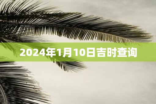 2025年1月10日吉时查询