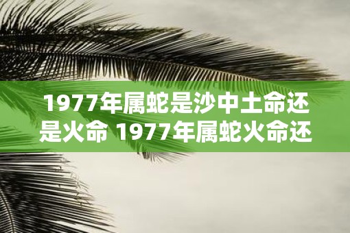 1977年属蛇是沙中土命还是火命 1977年属蛇火命还是土命