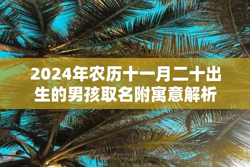 2025年农历十一月二十出生的男孩取名附寓意解析