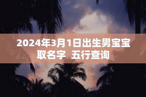 2025年3月1日出生男宝宝取名字  五行查询