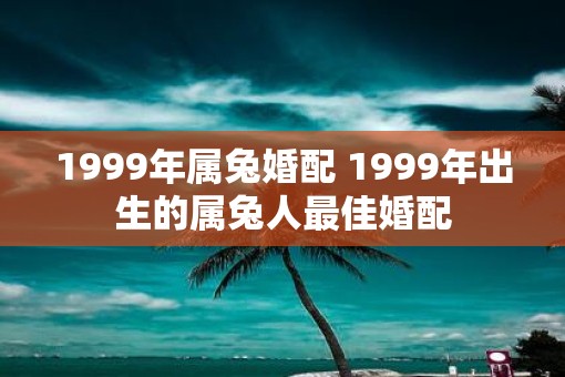 1999年属兔婚配 1999年出生的属兔人最佳婚配