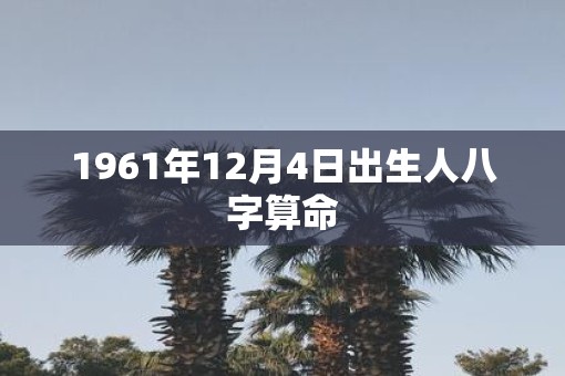 1961年12月4日出生人八字算命