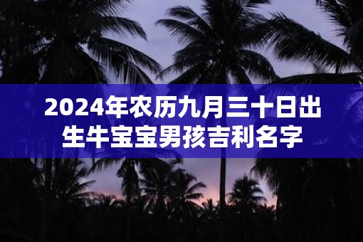2025年农历九月三十日出生牛宝宝男孩吉利名字