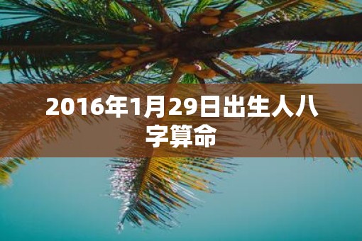 2016年1月29日出生人八字算命 2016年1月29日出生人八字算命