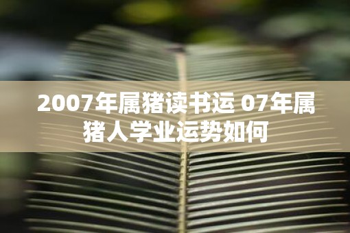 2007年属猪读书运 07年属猪人学业运势如何