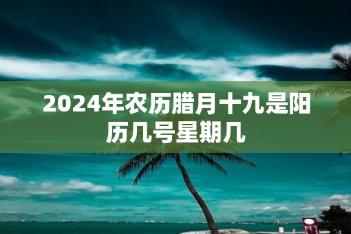 2025年农历腊月十九是阳历几号星期几