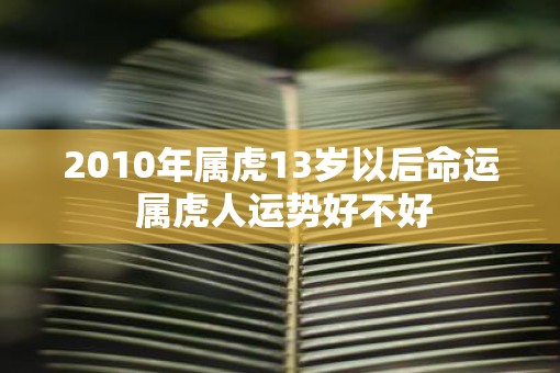 2010年属虎13岁以后命运 属虎人运势好不好