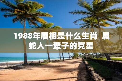 1988年属相是什么生肖  属蛇人一辈子的克星