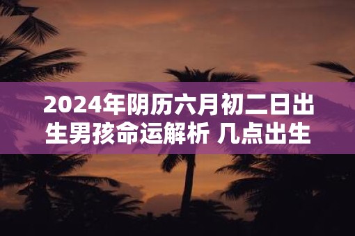 2025年阴历六月初二日出生男孩命运解析 几点出生最好