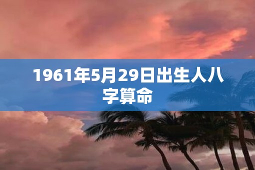 1961年5月29日出生人八字算命