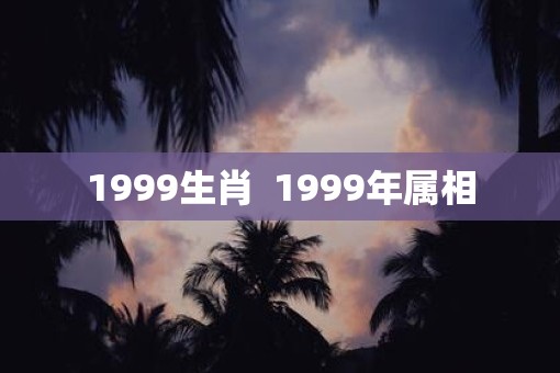 1999生肖  1999年属相
