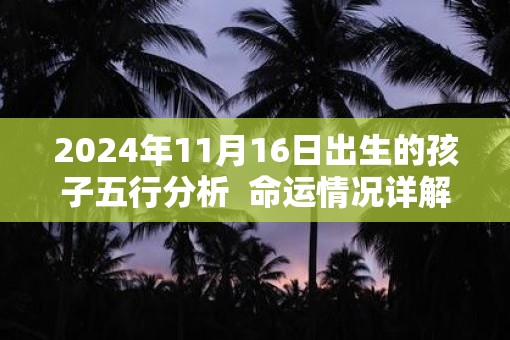 2025年11月16日出生的孩子五行分析  命运情况详解