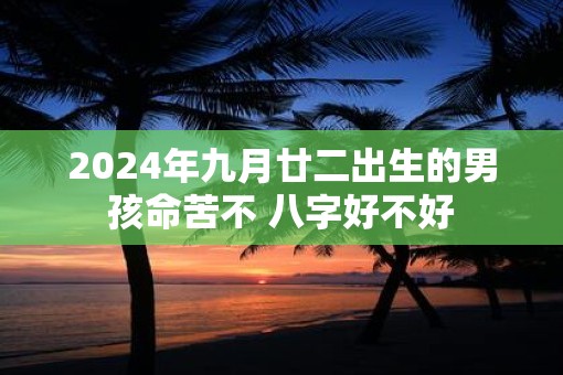 2025年九月廿二出生的男孩命苦不 八字好不好