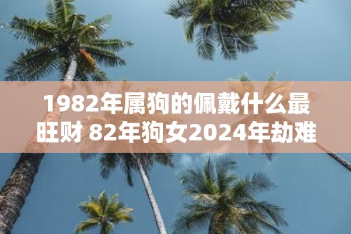 1982年属狗的佩戴什么最旺财 82年狗女2025年劫难
