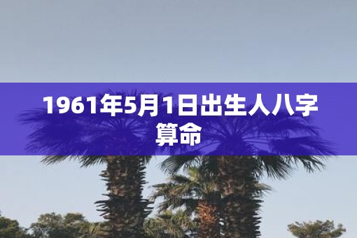 1961年5月1日出生人八字算命
