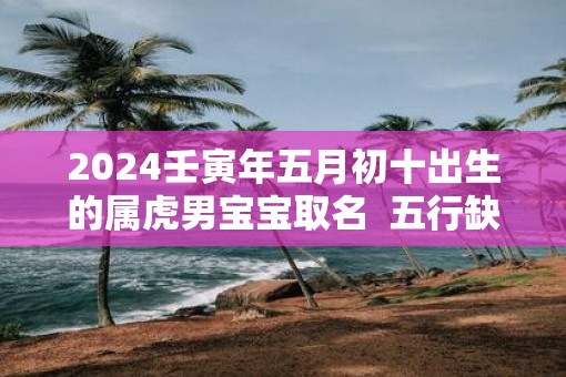 2025壬寅年五月初十出生的属虎男宝宝取名  五行缺啥