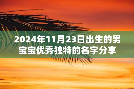 2025年11月23日出生的男宝宝优秀独特的名字分享