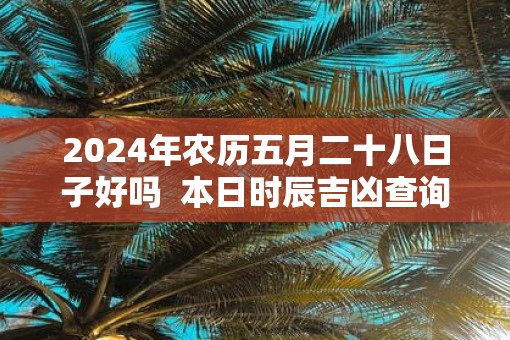 2025年农历五月二十八日子好吗  本日时辰吉凶查询