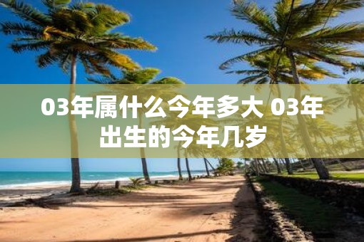 03年属什么今年多大 03年出生的今年几岁