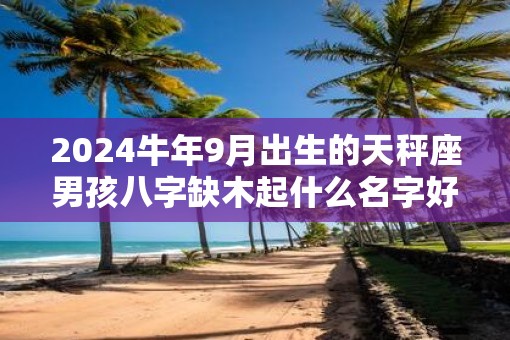 2025牛年9月出生的天秤座男孩八字缺木起什么名字好