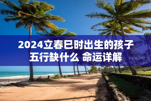 2025立春巳时出生的孩子五行缺什么 命运详解
